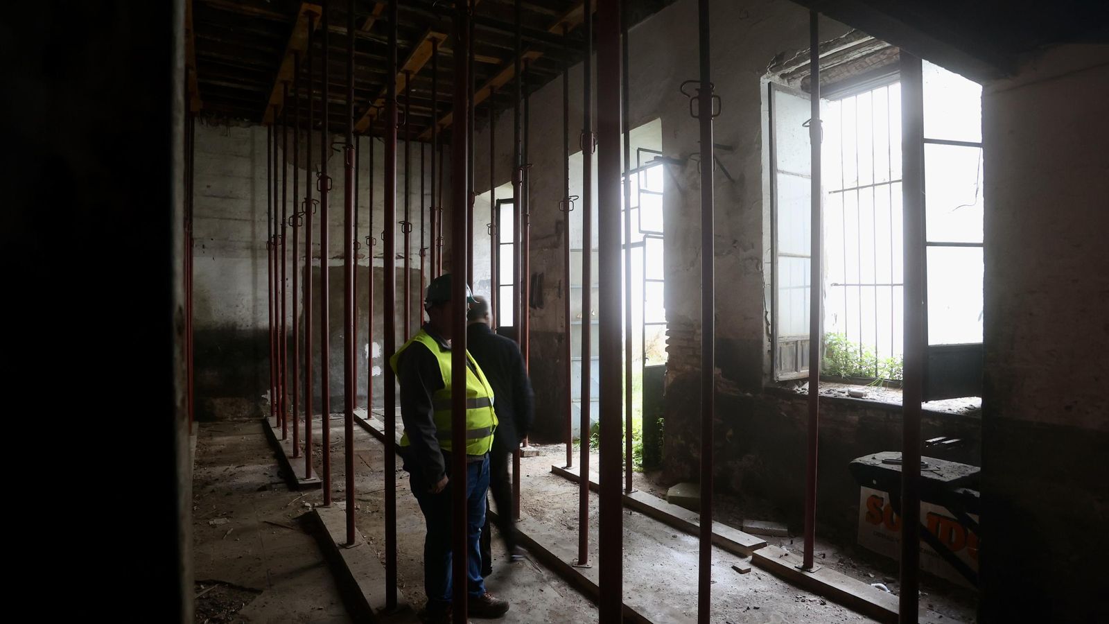 Test galería Joly bug