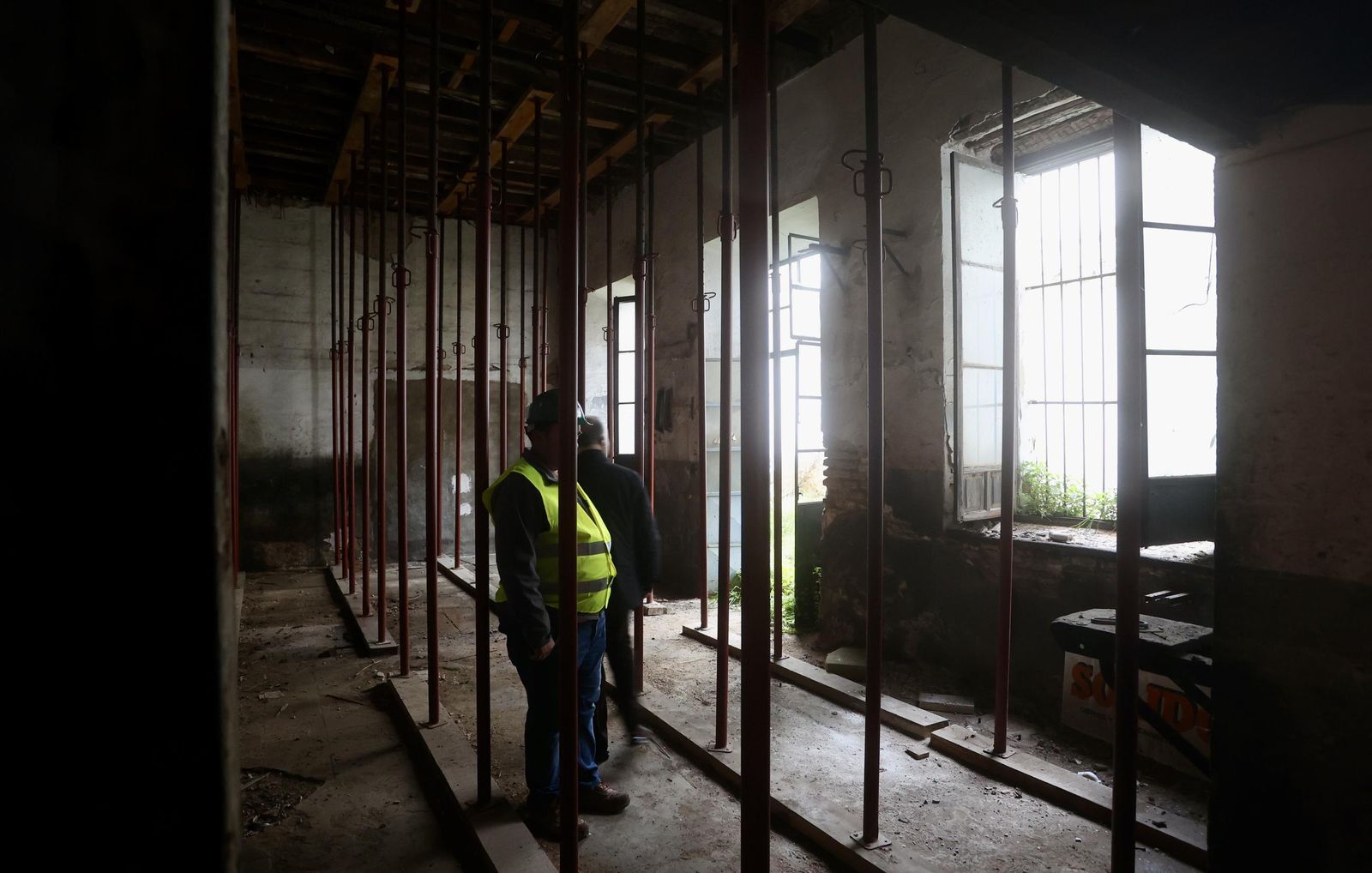 Test galería Joly bug