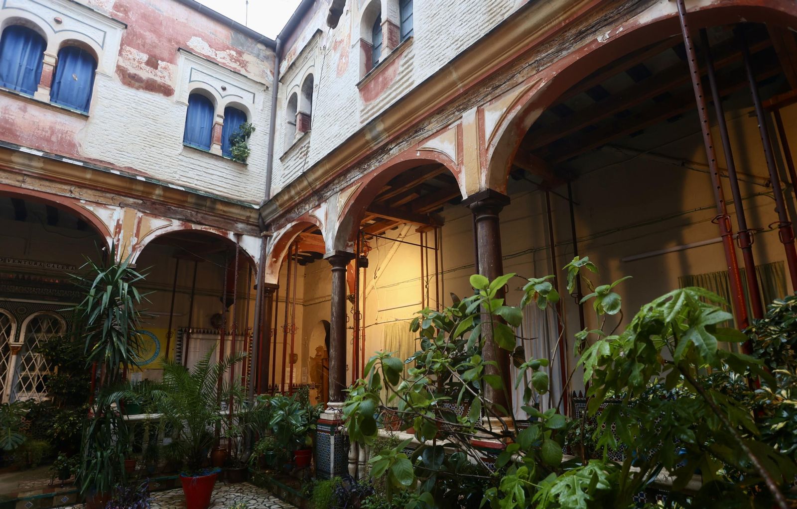 Test galería Joly bug