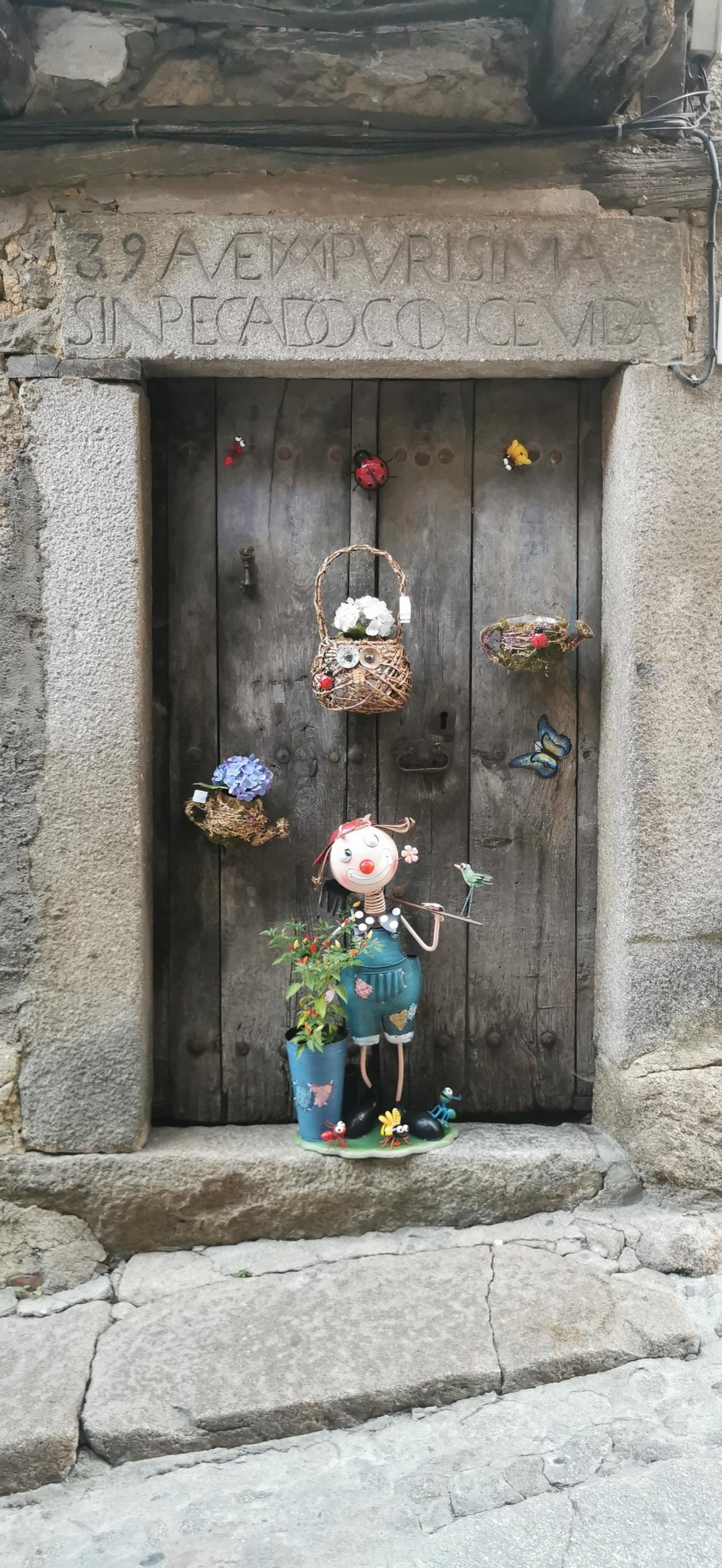 Test subida fotos móvil