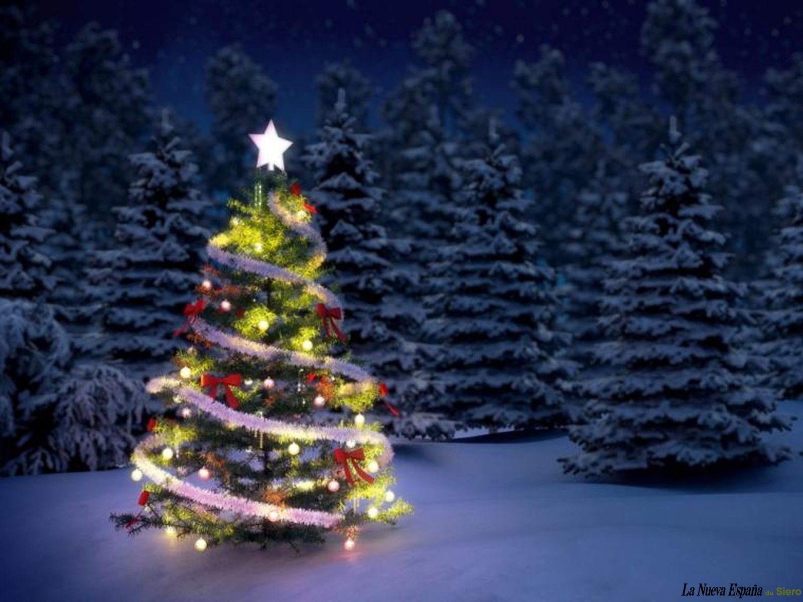 Galería test subida múltiple fotos