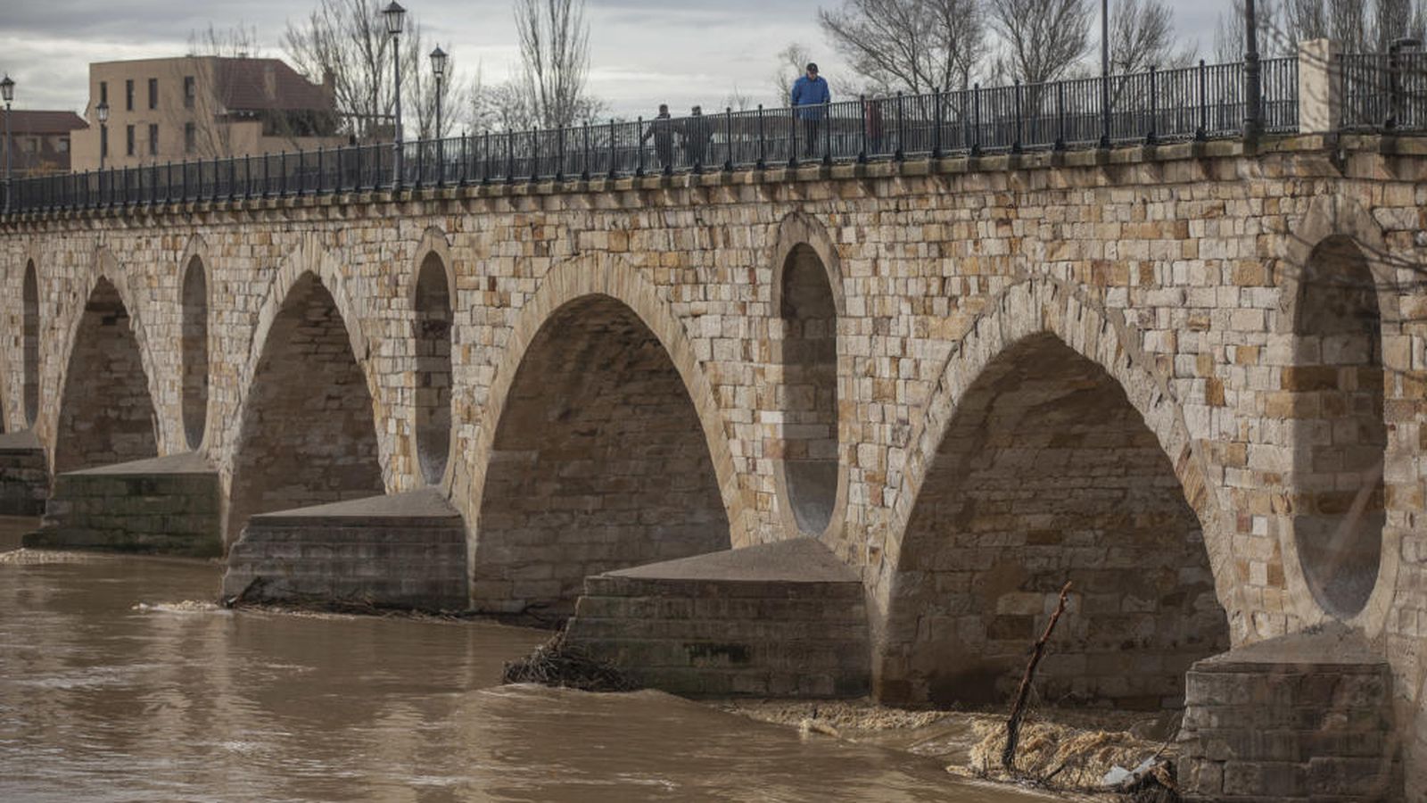 crecida duero zamora capital