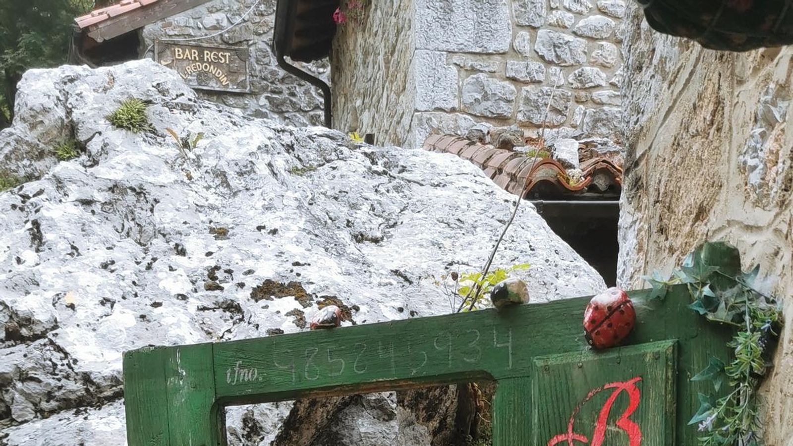 Test subida fotos móvil