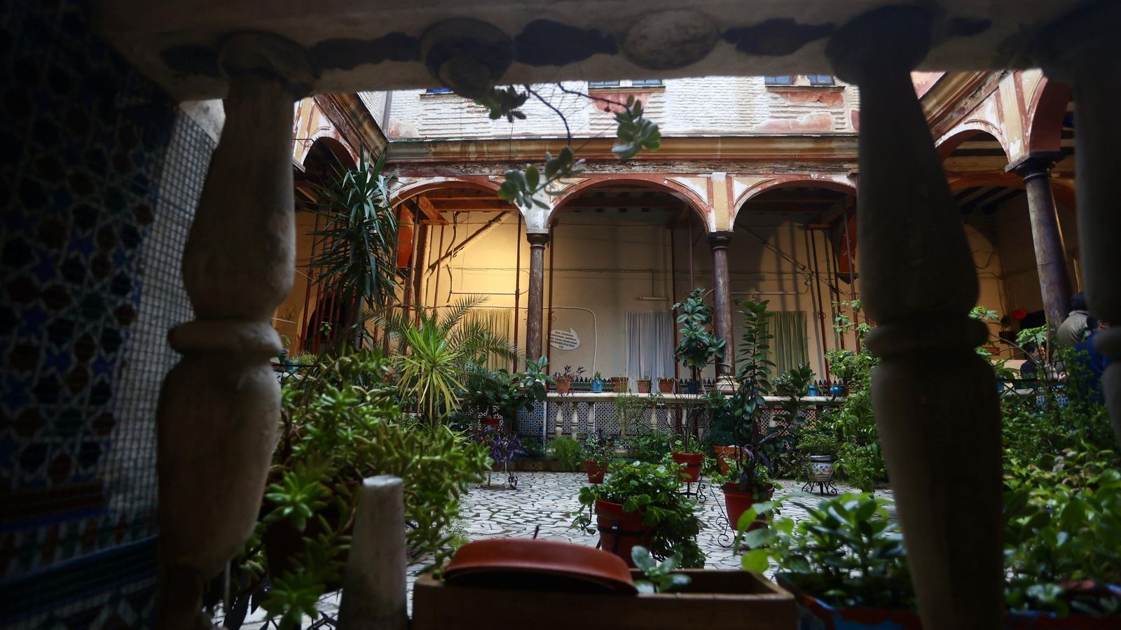 Galería safari simulador móvil 30 img