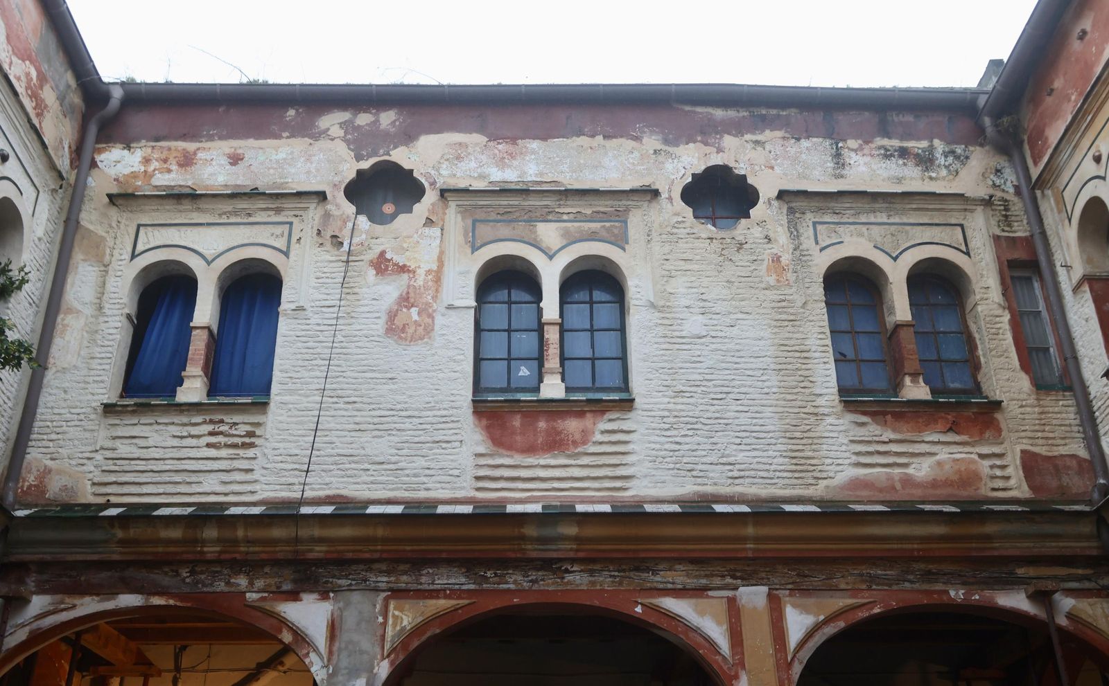 Test galería Joly bug