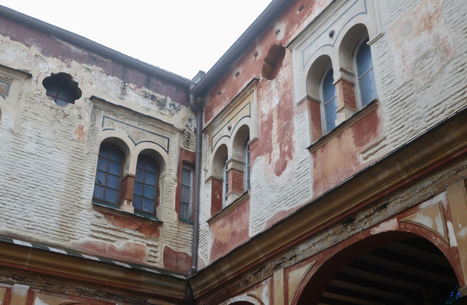 Test galería Joly bug