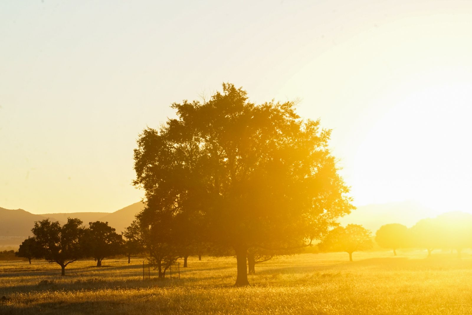 El Parque Nacional de Cabañeros en Castilla La Mancha