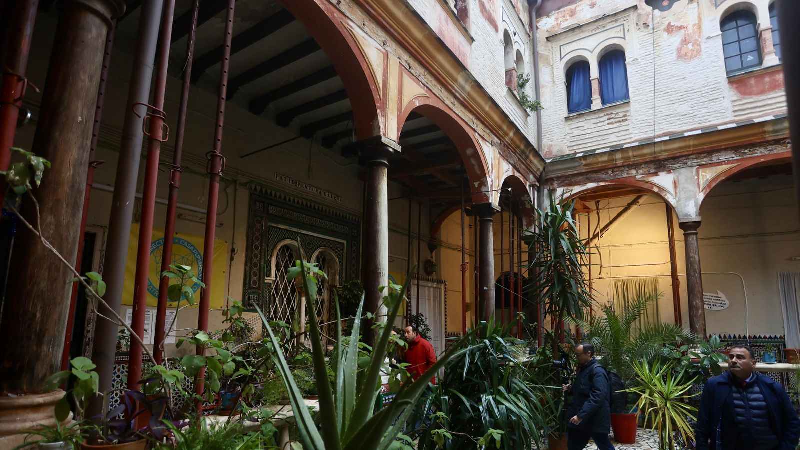 Galería safari simulador móvil 30 img