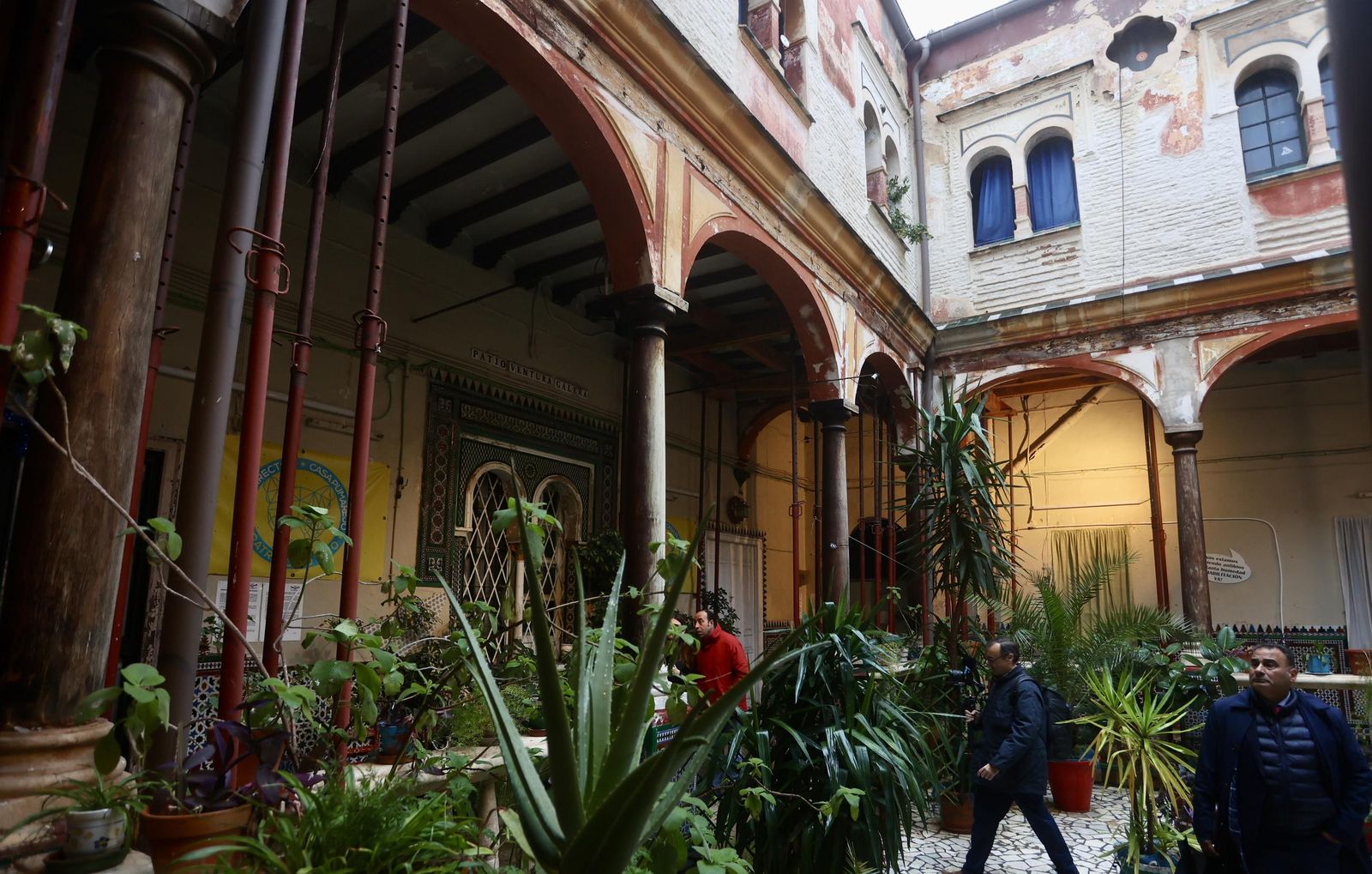 Test galería Joly bug