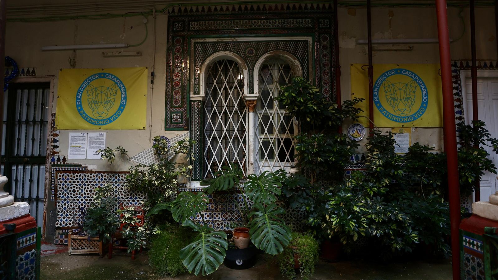 Galería safari simulador móvil 30 img