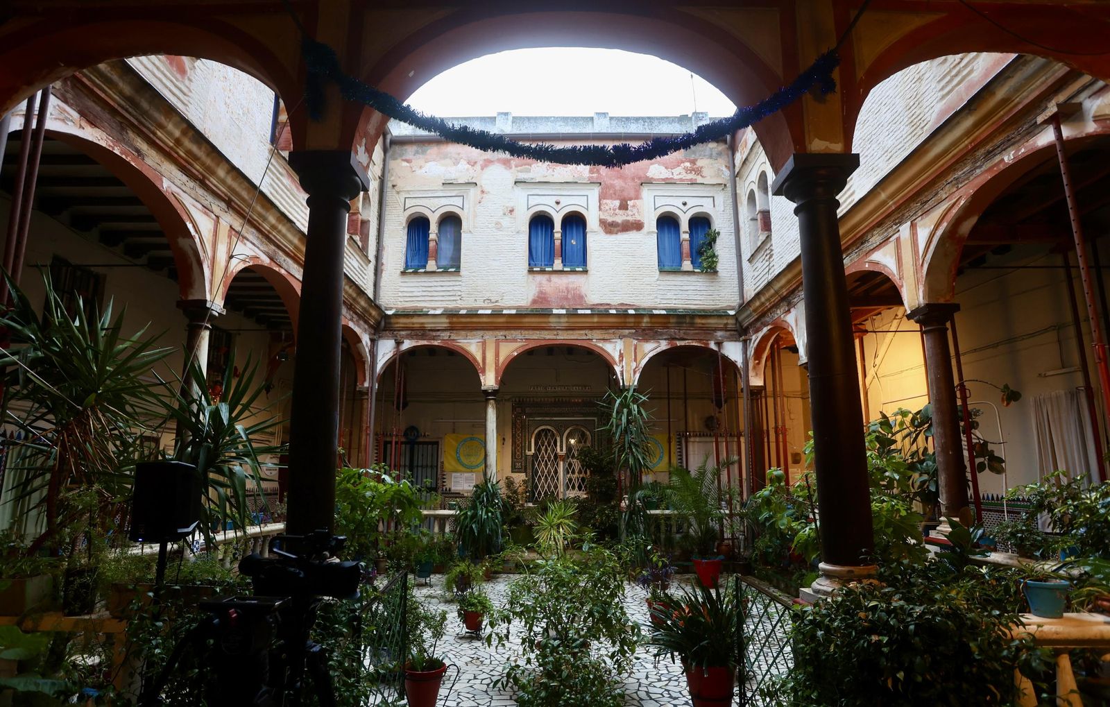 Test galería Joly bug