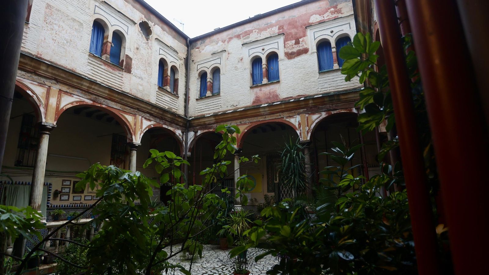 Test galería Joly bug