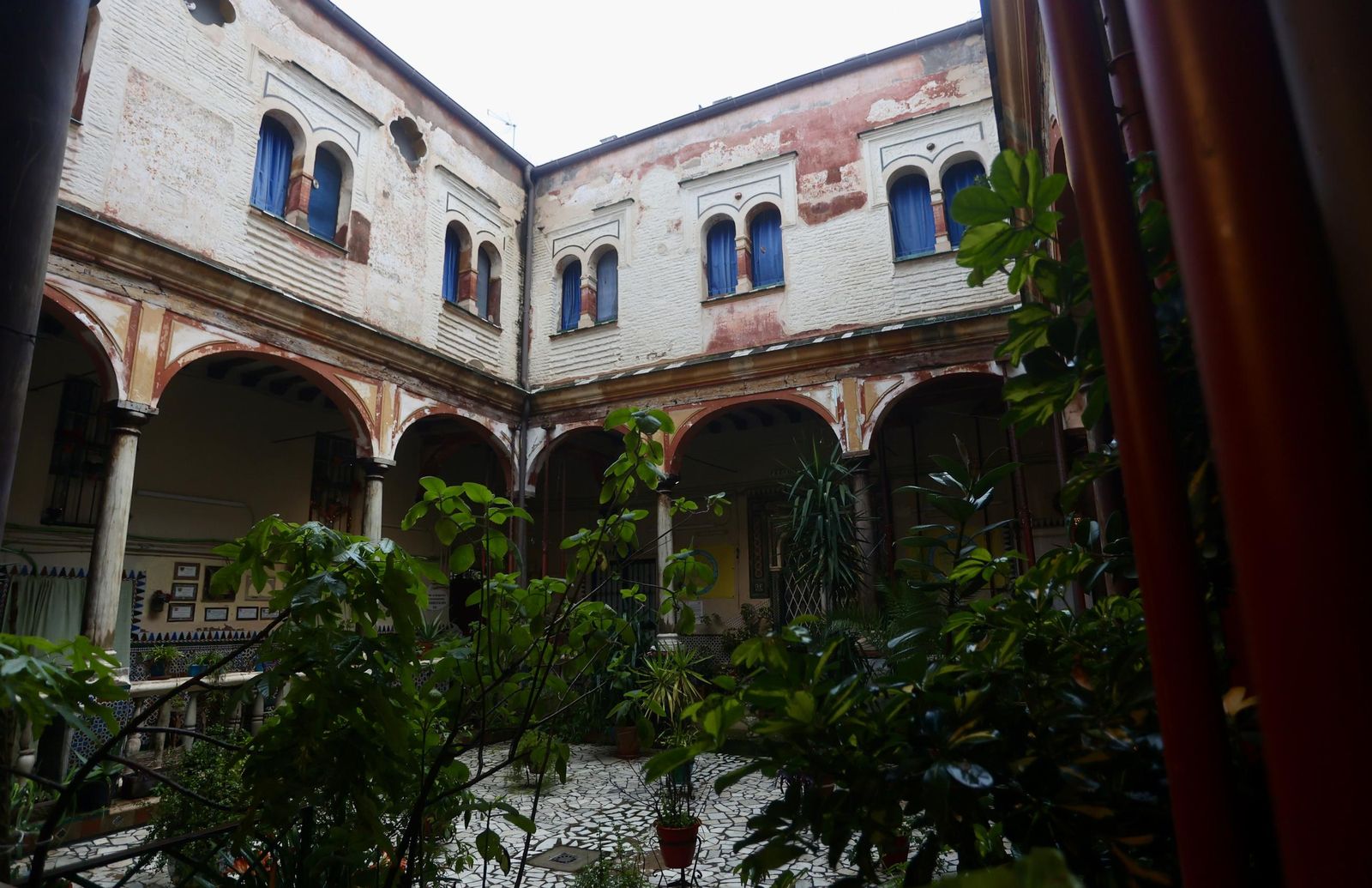 Test galería Joly bug