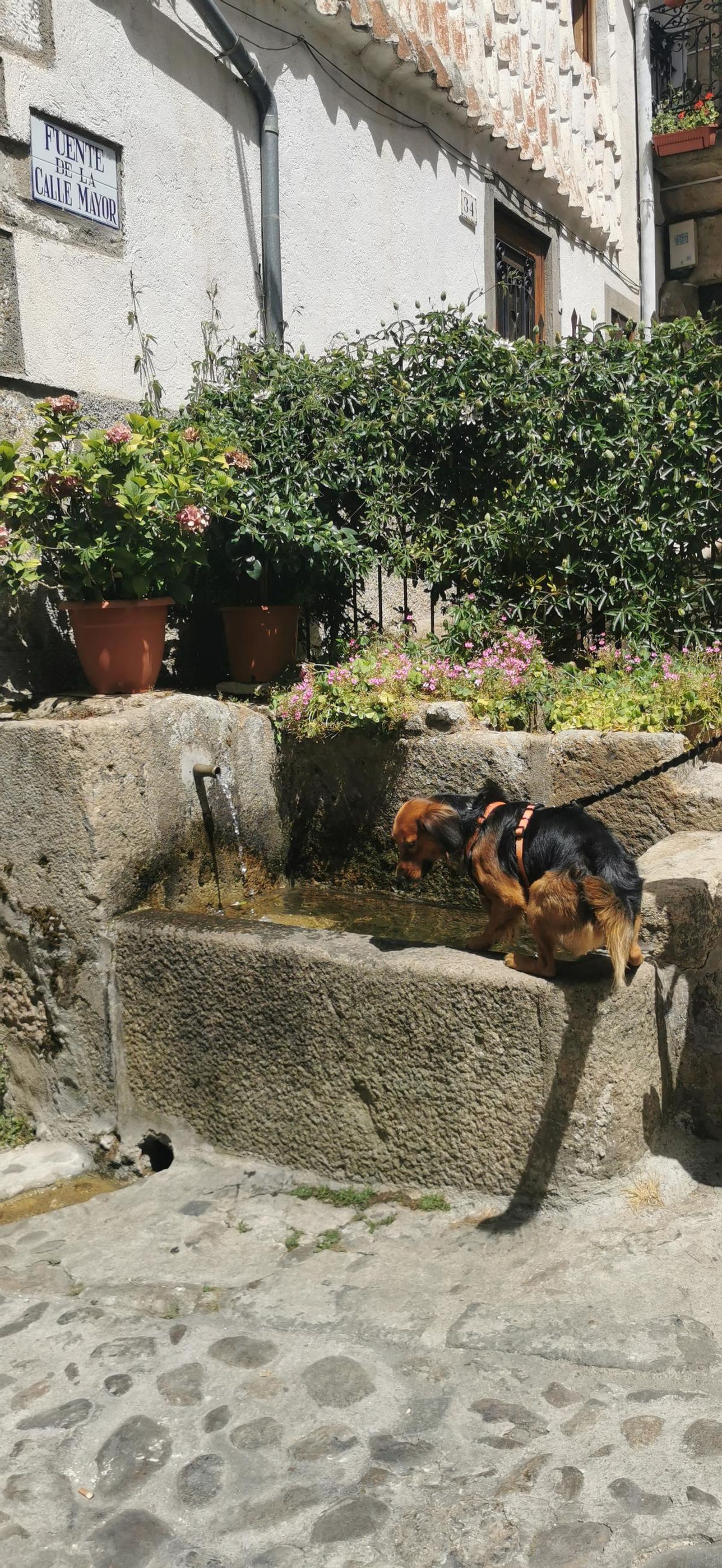 Test subida fotos móvil