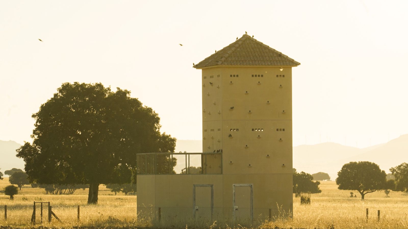 El Parque Nacional de Cabañeros en Castilla La Mancha