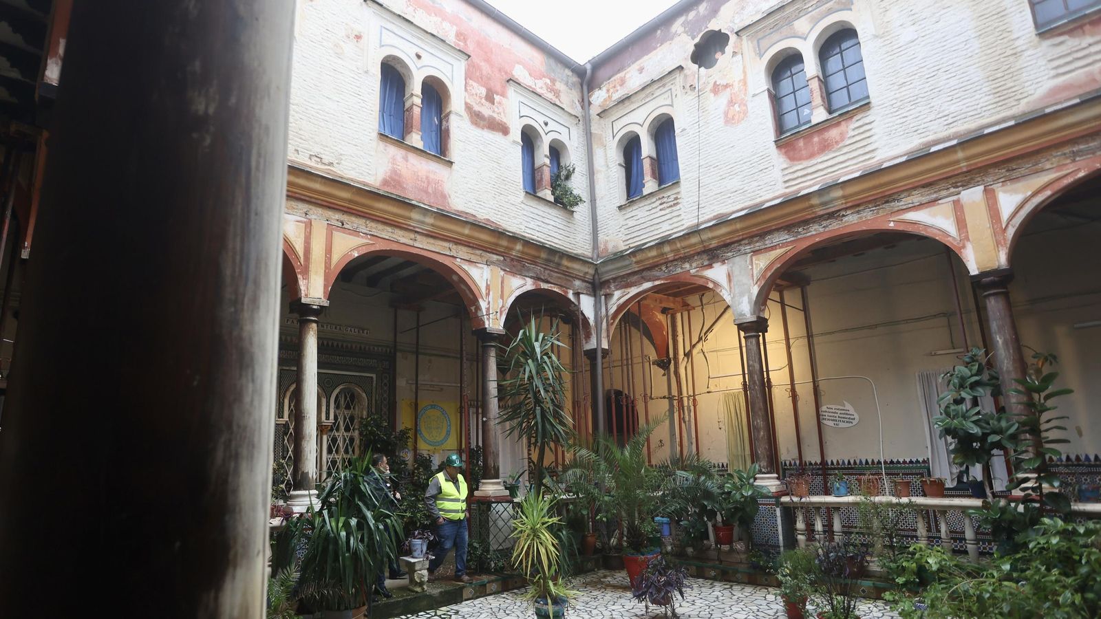 Test galería Joly bug