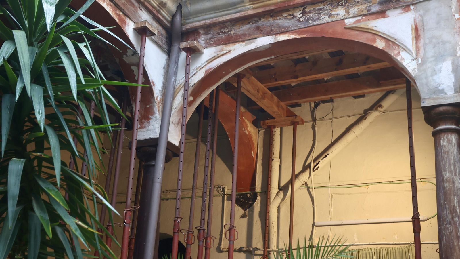 Test galería Joly bug