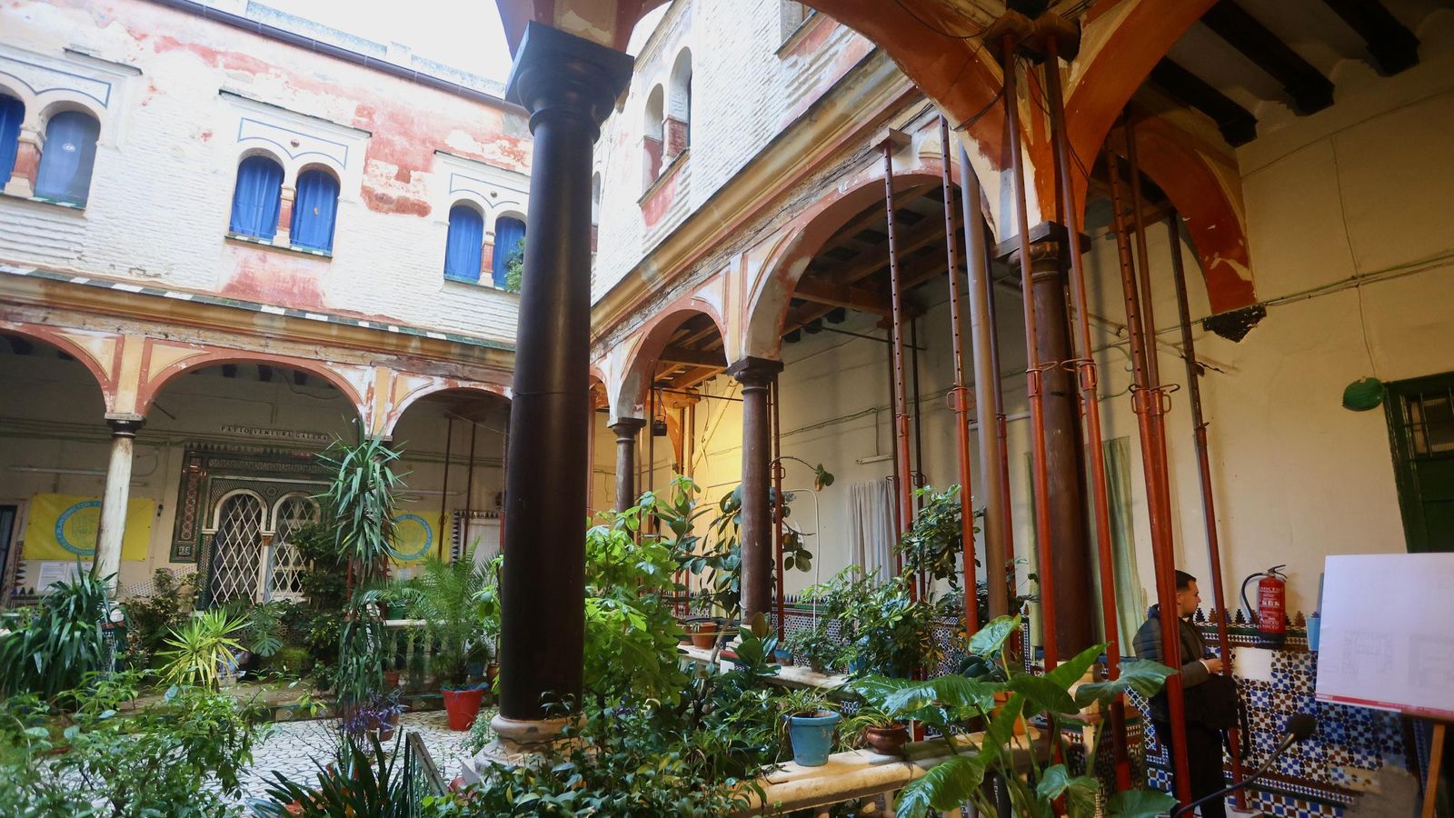 Test galería Joly bug