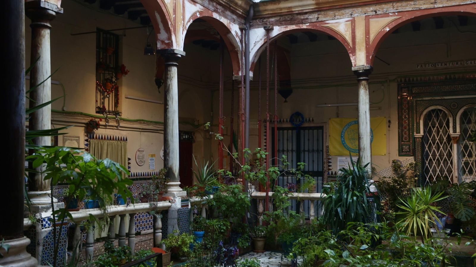 Test galería Joly bug