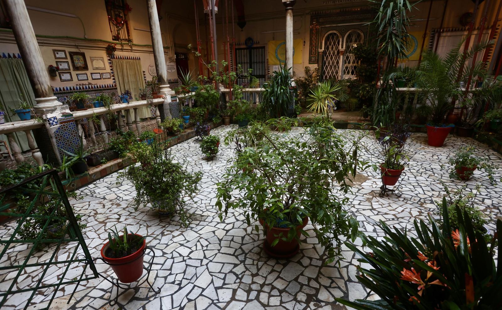 Test galería Joly bug