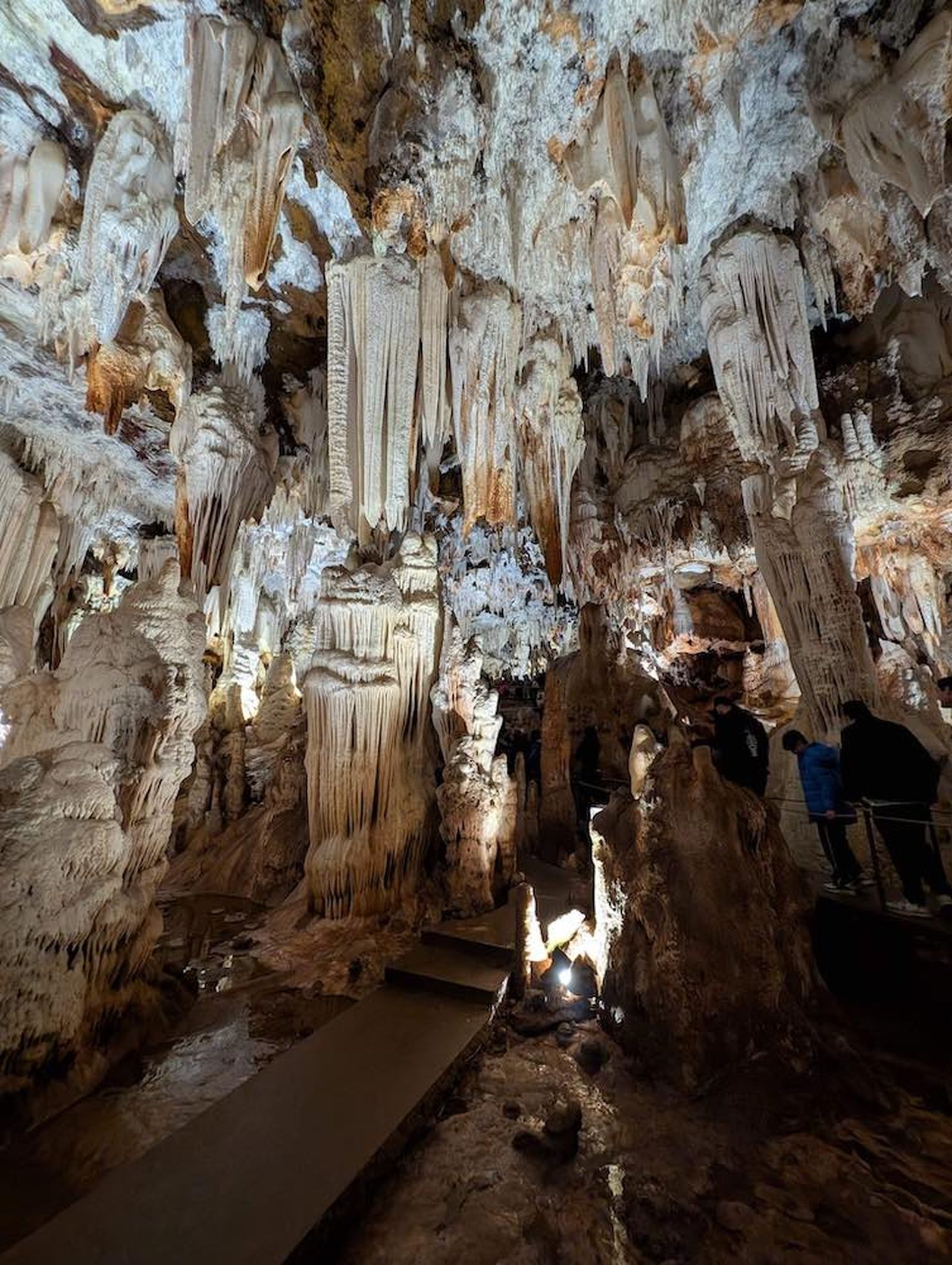 Subida múltiple imágenes test