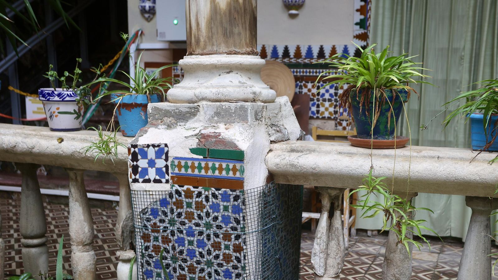 Test galería Joly bug