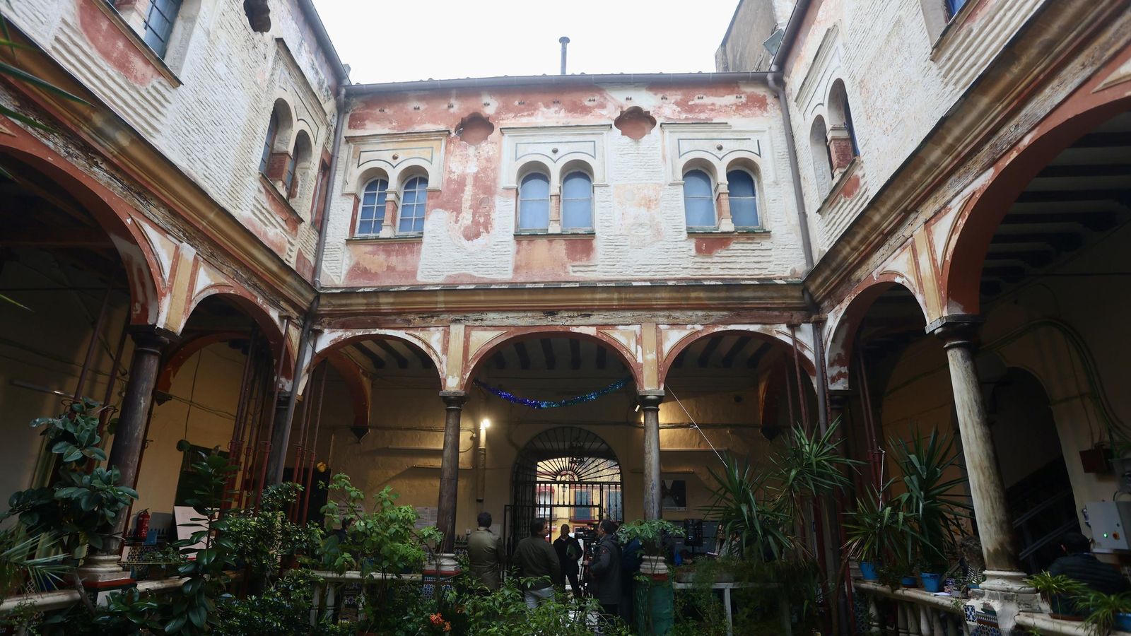 Test galería Joly bug