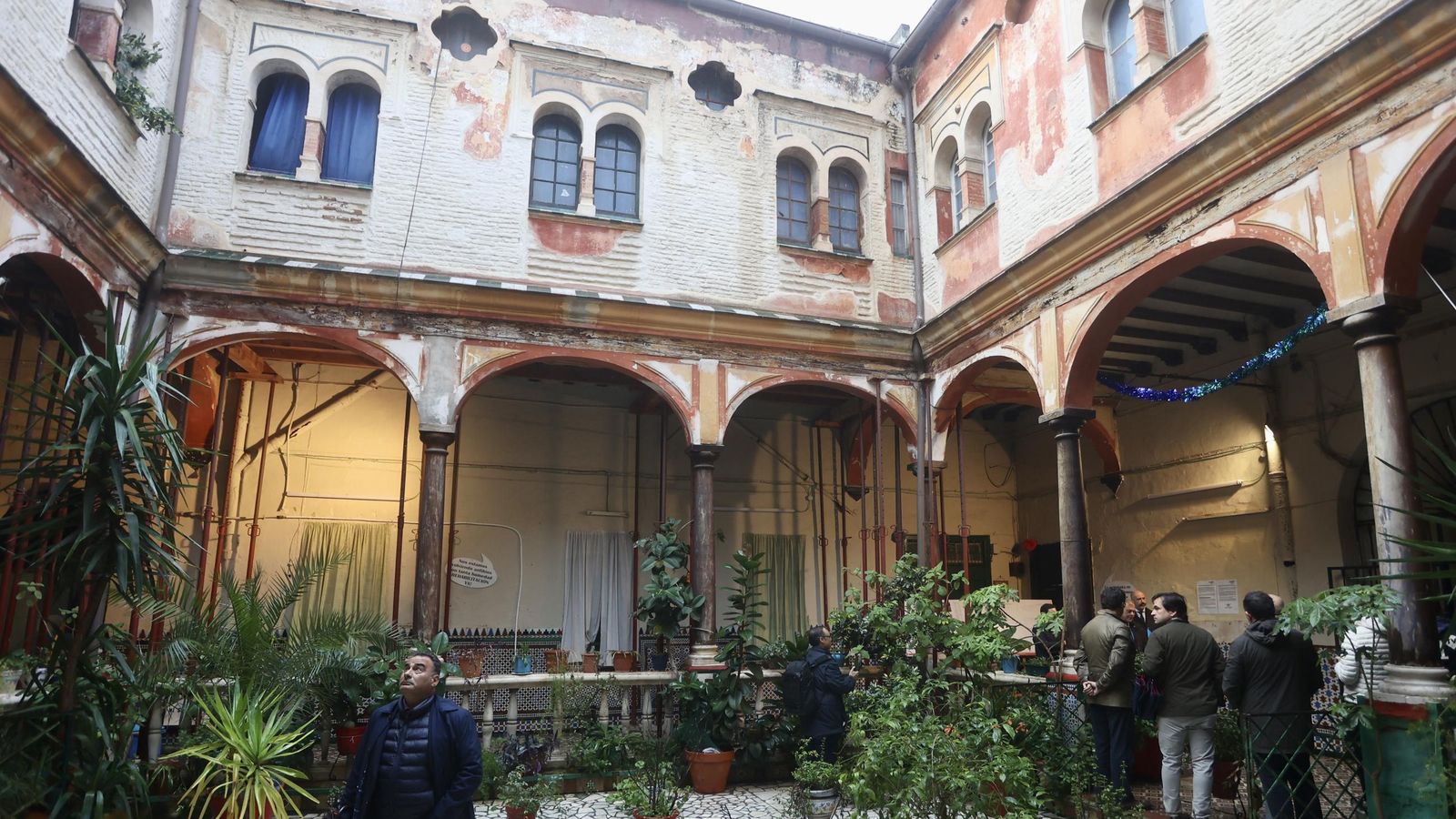 Test galería Joly bug