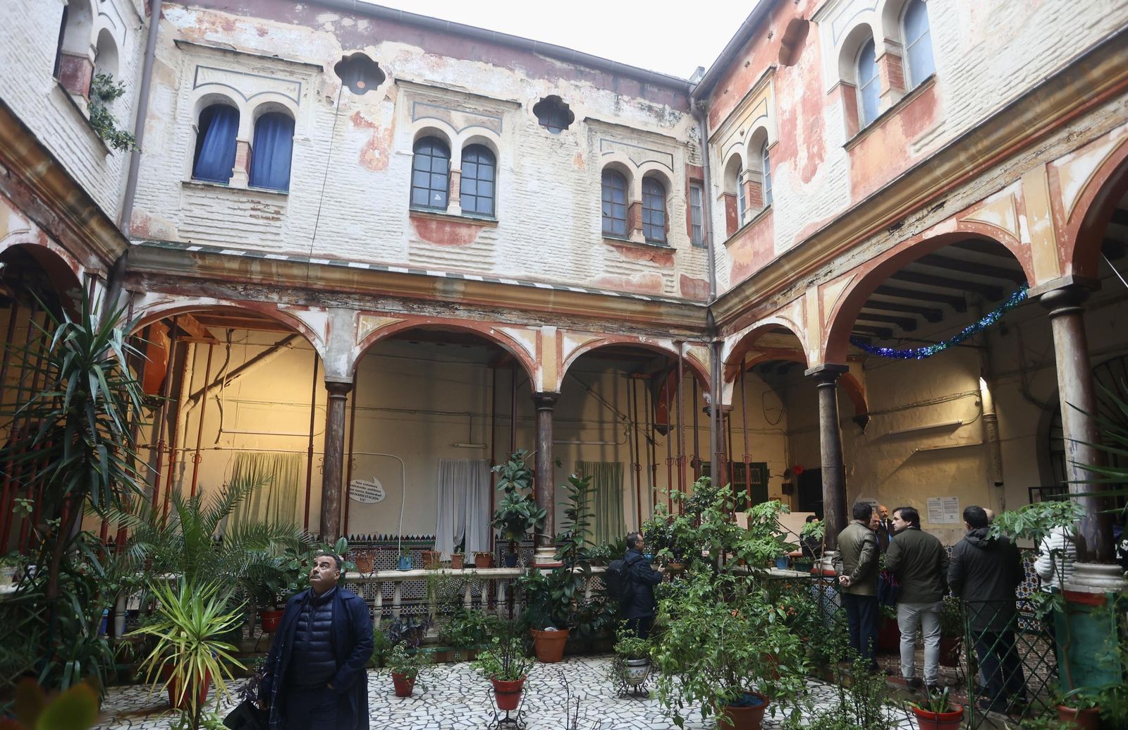 Test galería Joly bug