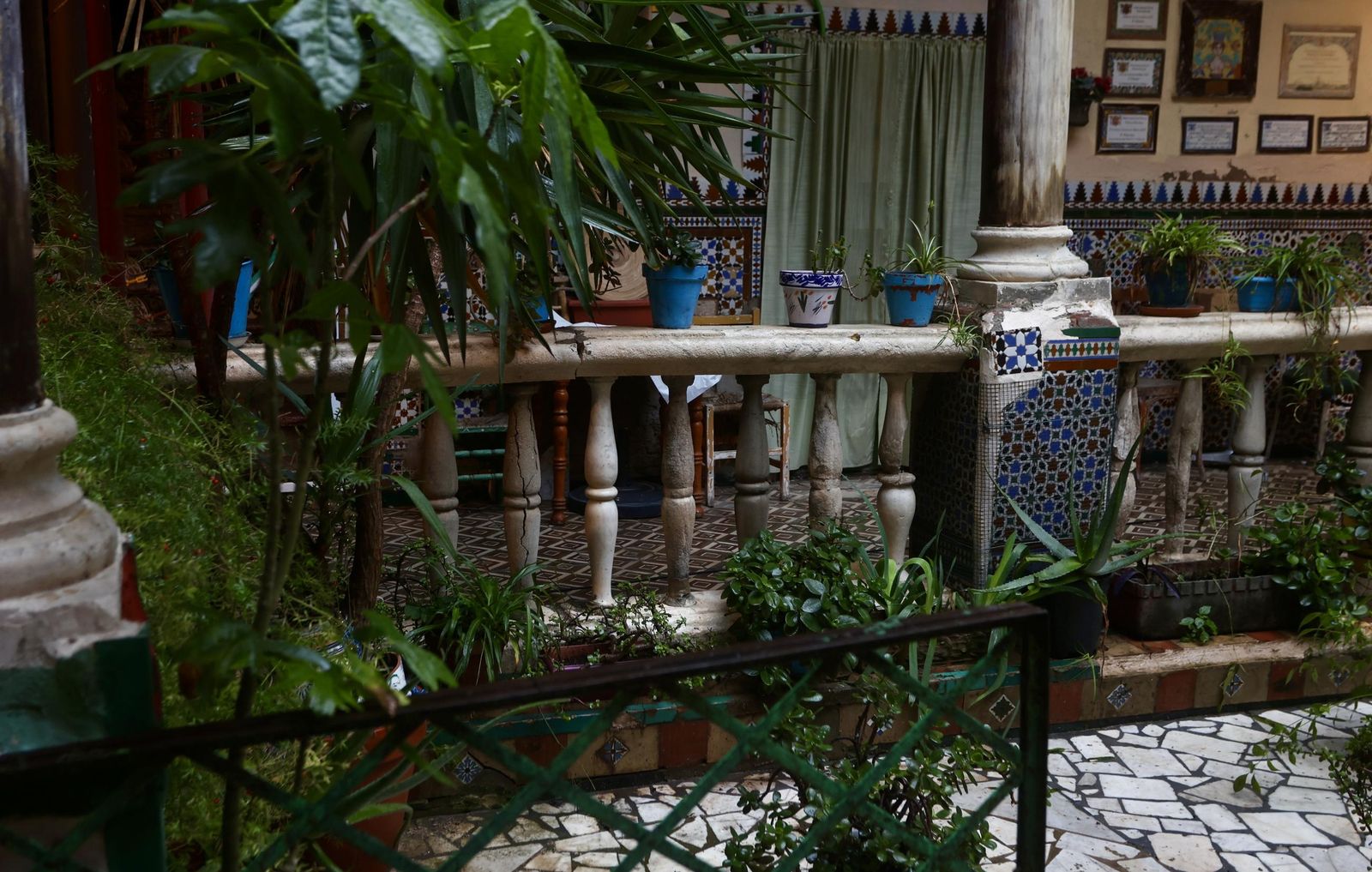 Test galería Joly bug