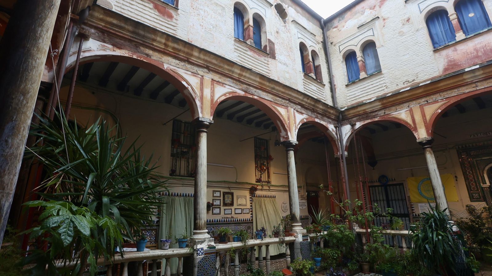 Galería safari simulador móvil