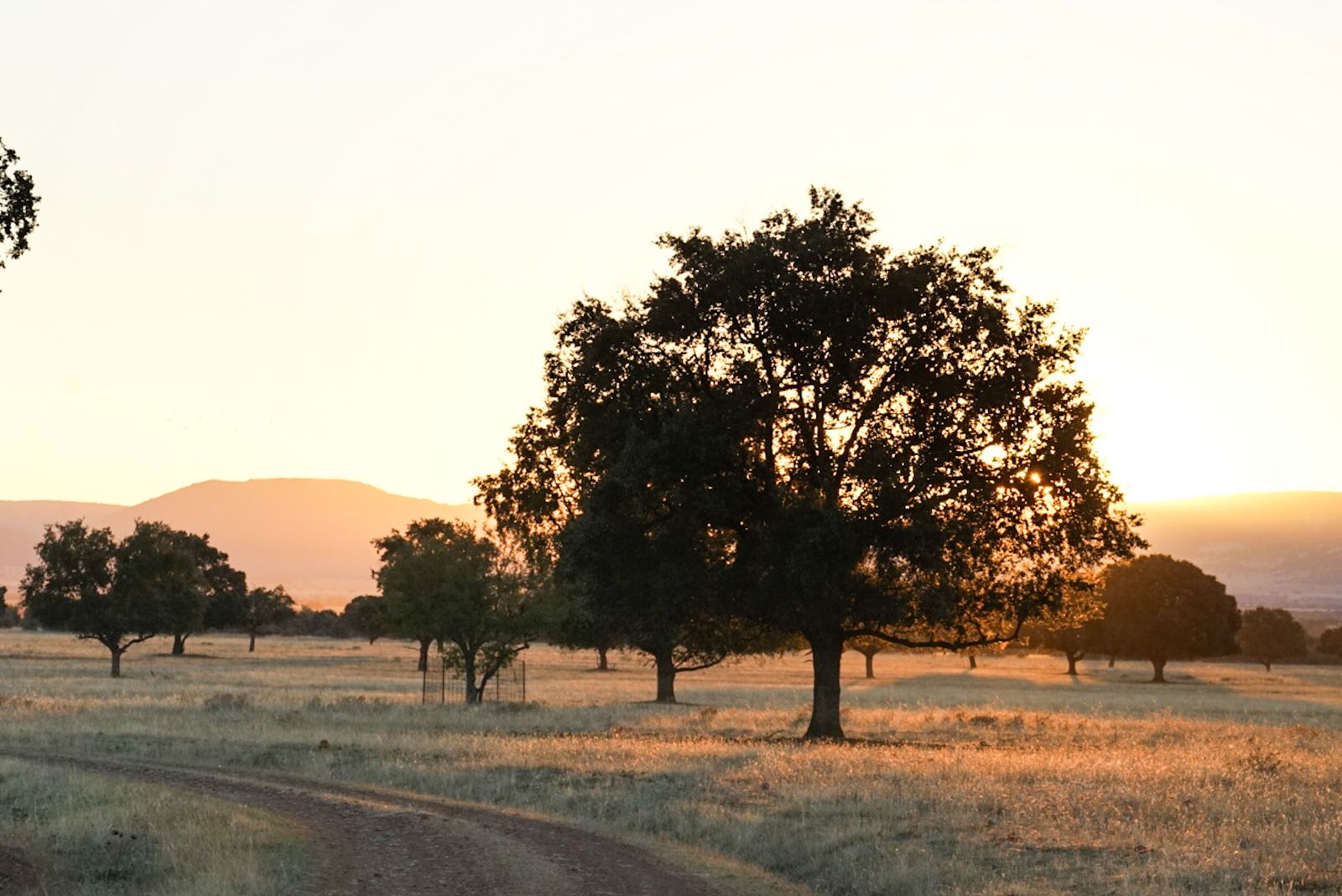 El Parque Nacional de Cabañeros en Castilla La Mancha