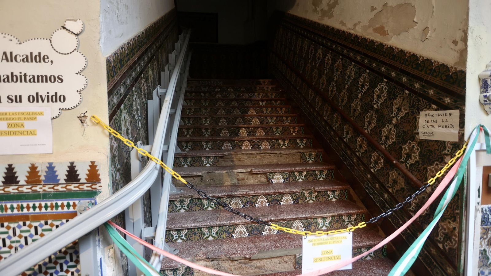 Test galería Joly bug