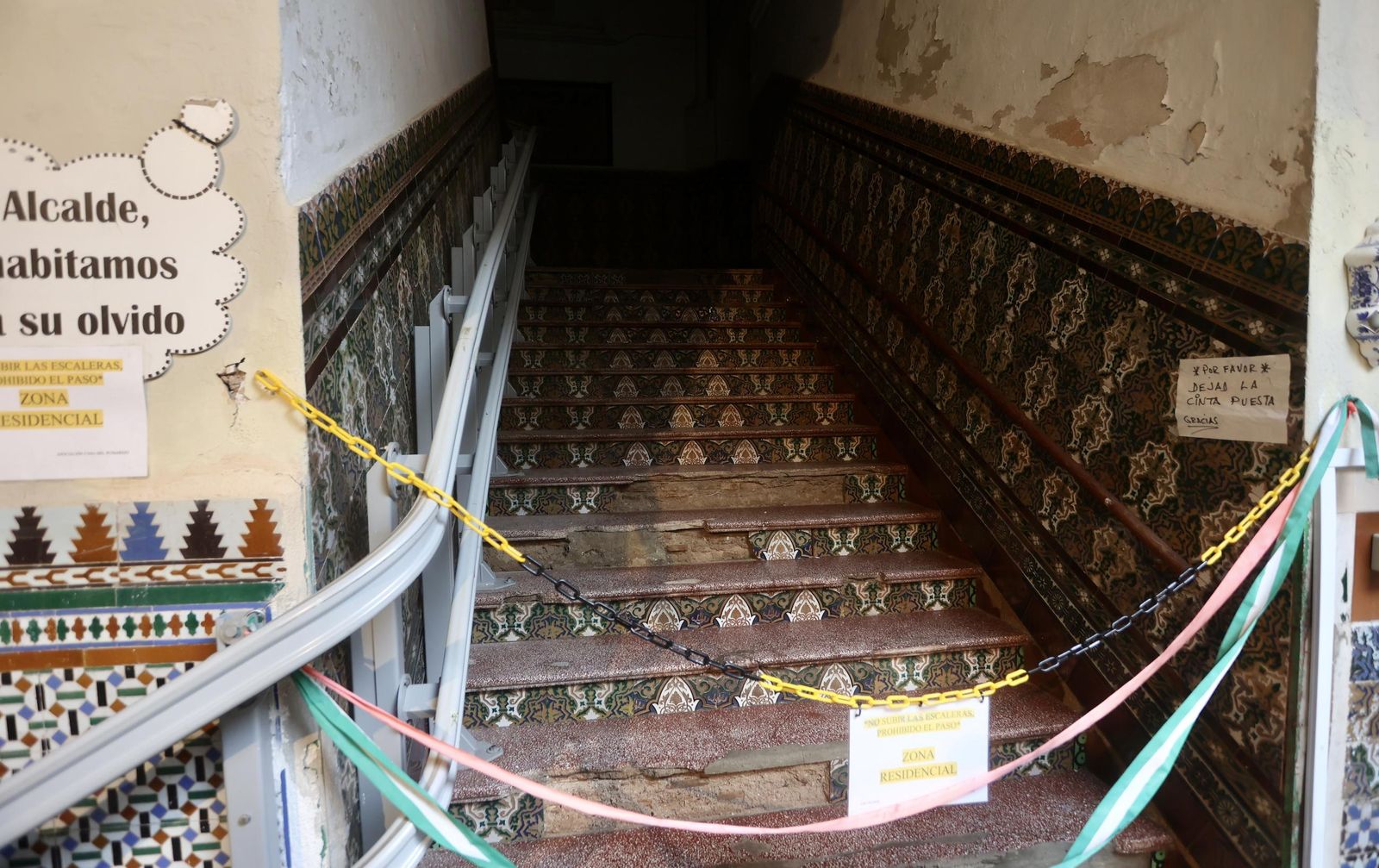 Test galería Joly bug