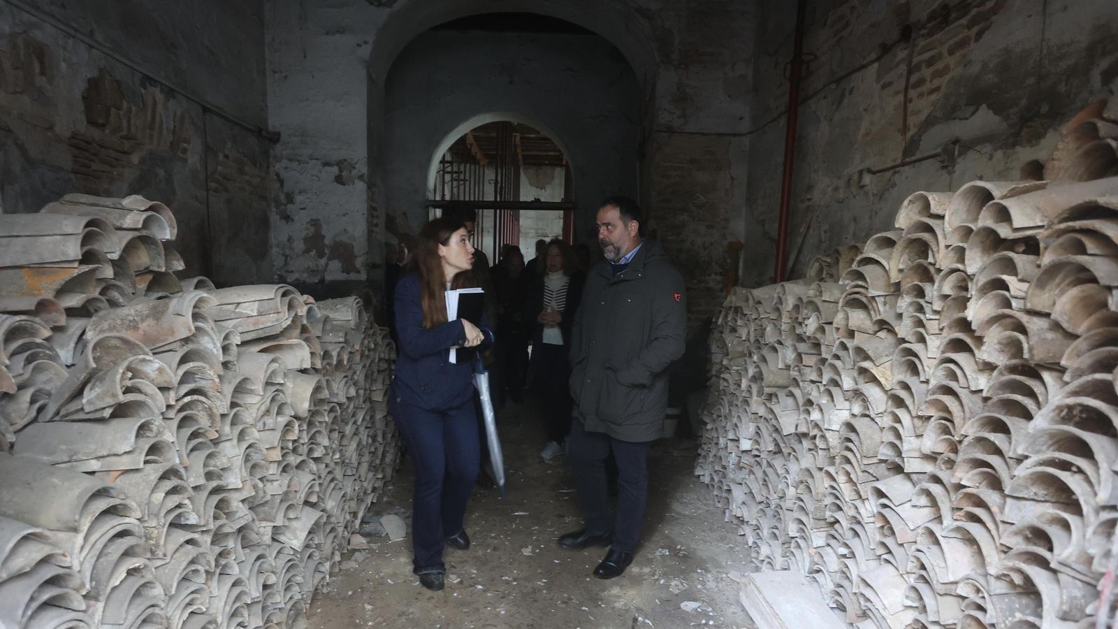 Test galería Joly bug