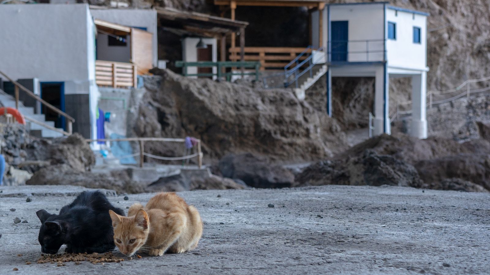 Enclaves secretos: Porís de Candelaria en La Palma