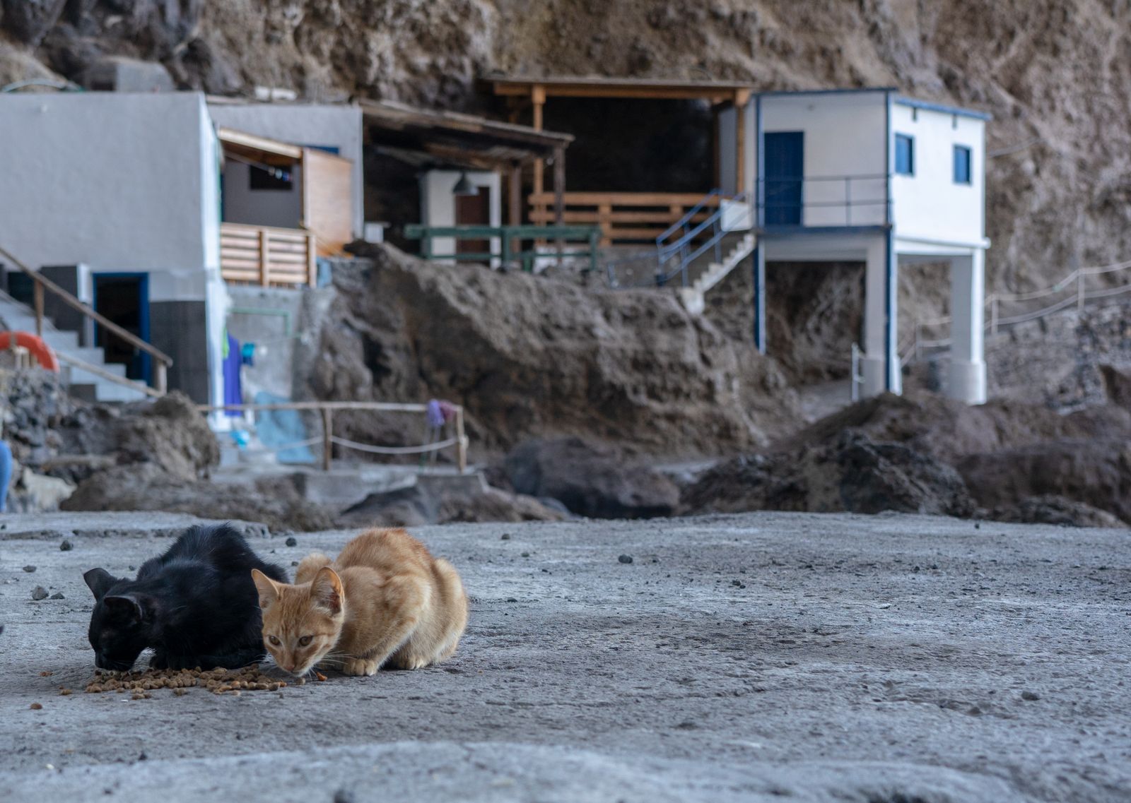 Enclaves secretos: Porís de Candelaria en La Palma