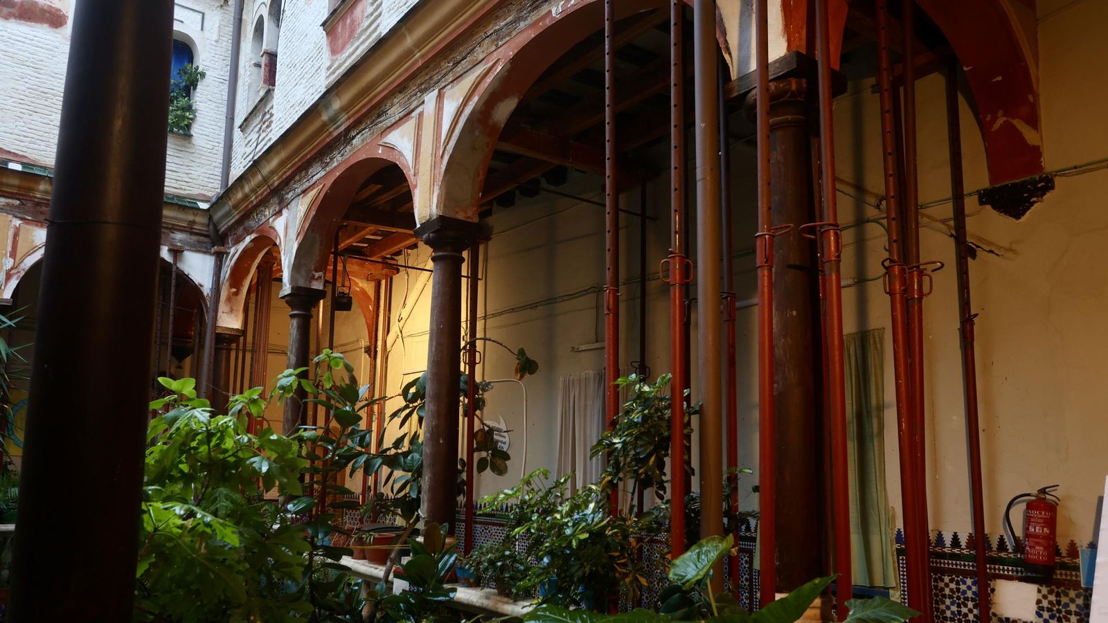 Test galería Joly bug