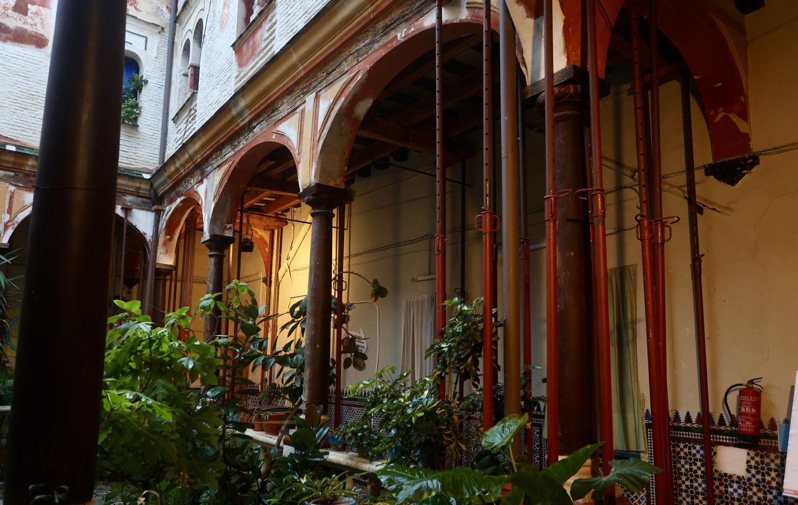 Test galería Joly bug