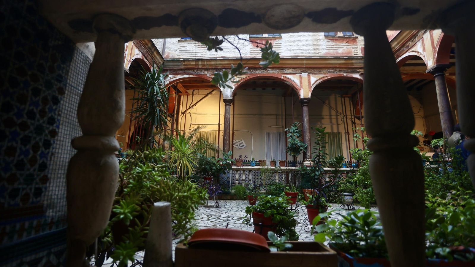 Test galería Joly bug