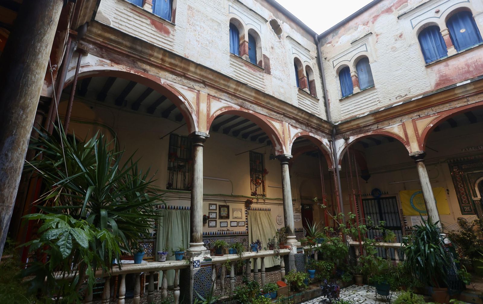 Test galería Joly bug